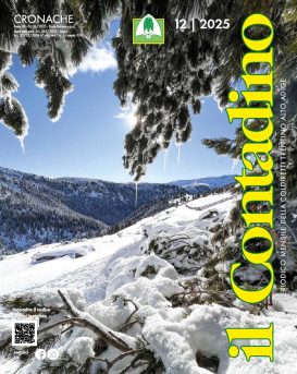 Rivista “Il Contadino”