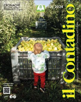 Rivista “Il Contadino”