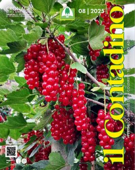 Rivista “Il Contadino”