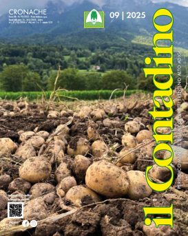 Rivista “Il Contadino”