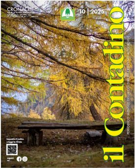 Rivista “Il Contadino”