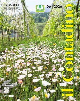 Rivista “Il Contadino”