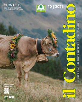 Rivista “Il Contadino”